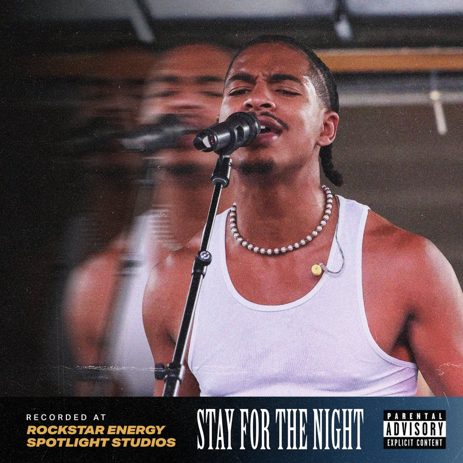 Stay For The Night cover art